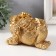 Necc Gold Polystone "Golden toad with a coin" 15.7x12x9.5 cm