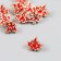 Button plastic for creativity "Maple leaf" set 10 pcs 1.2x1.4x0.7 cm