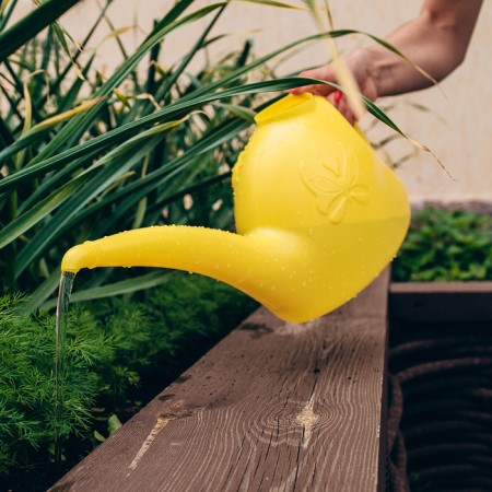 Watering can, 3 l, without diffuser, color mix-4
