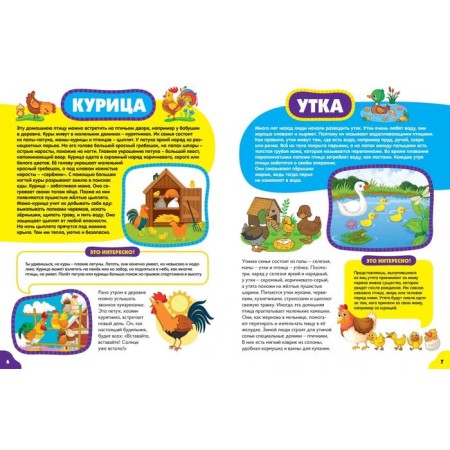 Animals for kids-1