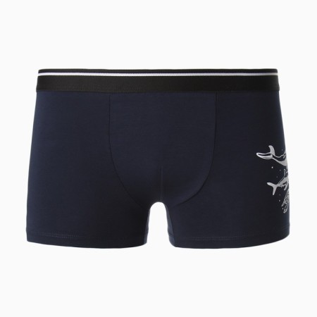 Men's panties "Sea World", dark blue color, size 46-5