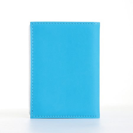 Cover for autocodes, blue color-1