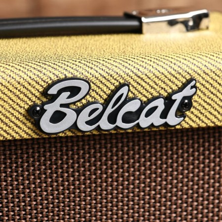Guitar Combox V10G Vintage Series, 10W, Belcat-2