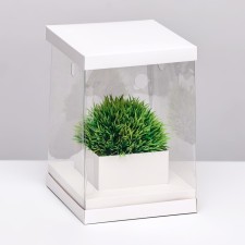 Box for flowers with a vase and PVC windows, folding, 16 x 23 x 16 cm, white