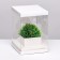 Box for flowers with a vase and PVC windows, folding, 16 x 23 x 16 cm, white