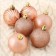 Set of balls plastic D-6 cm, 8 pcs "Empire"