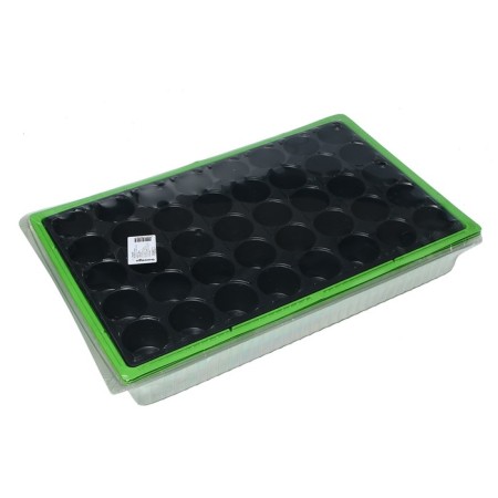Mini-Pirate for seedlings, 57 × 36 × 13.5 cm, 1 insert, 40 cells, Greengo-5