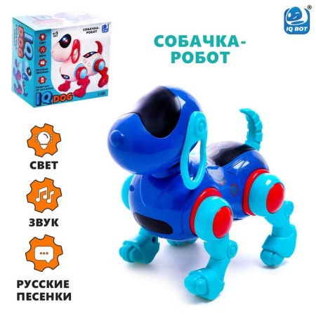 IQ DOG robot pillbox, sings, works, works from batteries, blue color