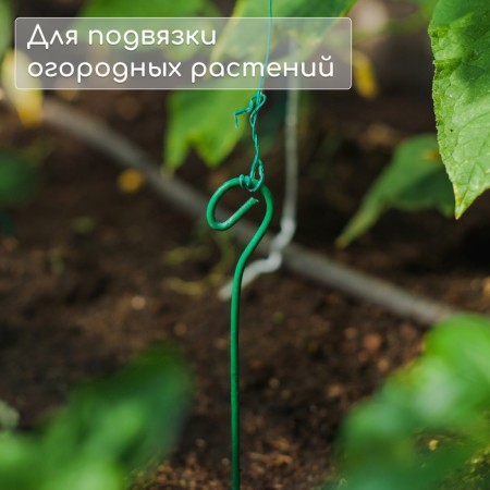 Pegs for garter plants, h = 30 cm, d = 0.3 cm, wire, green, greengo-3