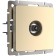 Twarot terminal WL11-TV, SHAMPAN color