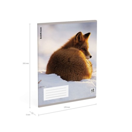 Notebook of 48 sheets in the Erichkrause cage, with a plastic cover, 5V, mix-11