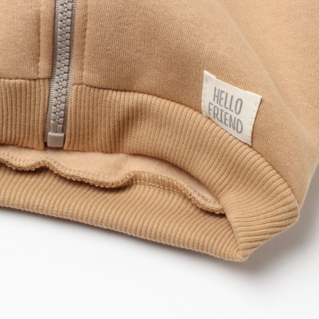 Costume: sweatshirt and pants crumb I Dino, height 74-80, brown-3