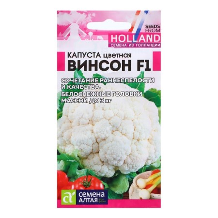 Cabbage Color Vincer F1/SE ALT/CP 10 pcs. Seminis (Dutch seeds)