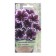 Gloxinia flowers "Impress Blue Picot", 5pcs.