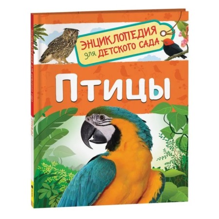 Encyclopedia for the kindergarten "Birds", Galtseva S. N.