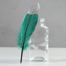 A set of goose feathers 15-20 cm, 10 pcs, dark green with silver chips
