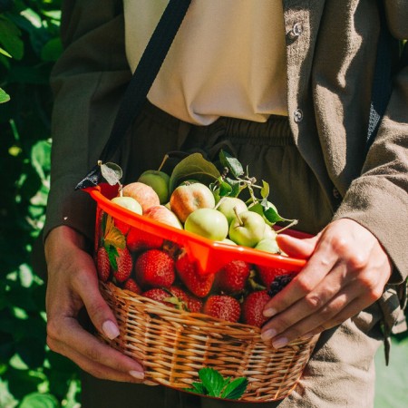 Container for collecting berries, 3 l, "basket", red-10