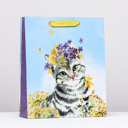 Gift package "kitten", 26 x 32 x 12 cm