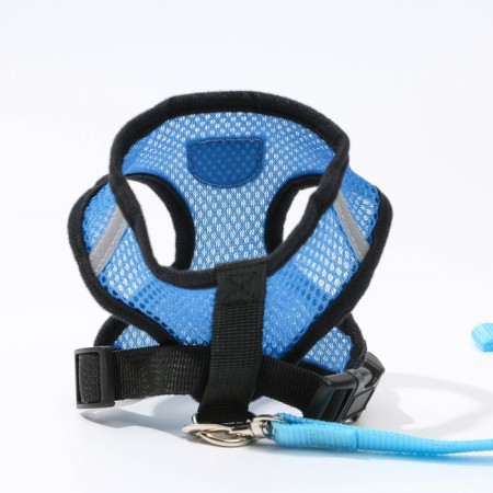 Drinking harness with a leash and reflective patch, s, ok 27, og 30-38, blue-3