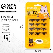 Spider joke, set, on the blister