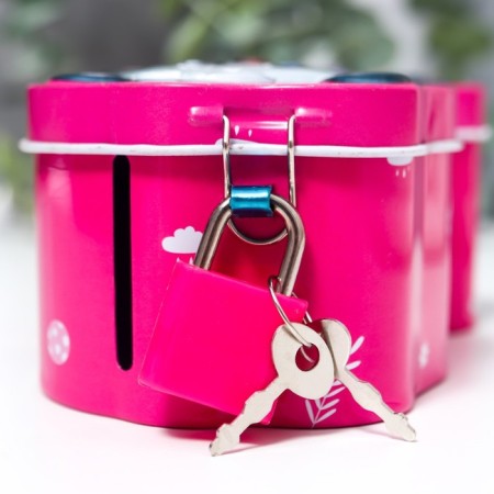 Piglet Metal "Little Panda" with a lock and keys mix 10x5x8.5 cm-4