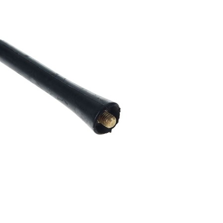Antenna Prutte "Triad Euro", universal, with external carvings M6-1
