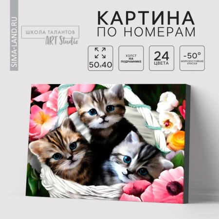 Picture on numbers on a canvas with a subframe of "kittens", 40 x 50 cm