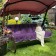 Billy swing pillow, size 50x60x180 cm, purple color