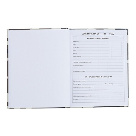 Universal diary for grades 1-11, "plane", solid cover 7BC, glossy lamination, 40 sheets-4