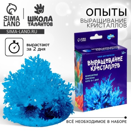 Set for creativity "radiant crystals", blue color