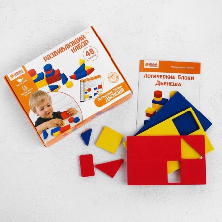 Logical blocks of Dieneesh-2