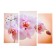 Carty clock is wall-mounted, modular "pink orchid", silent, 60 x 80 cm, triptych