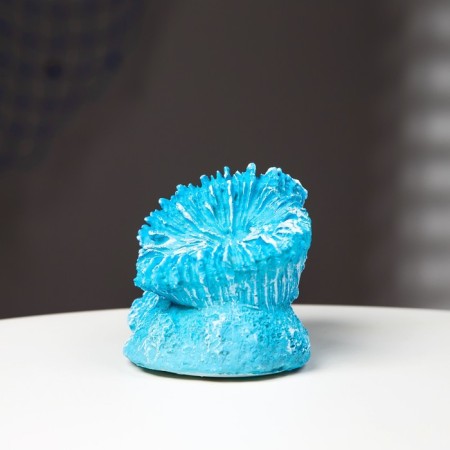 Interior souvenir "Coral" 11x9x9cm-4