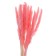 Sukhotzet "reed" set 15 pcs, the color is gently pink