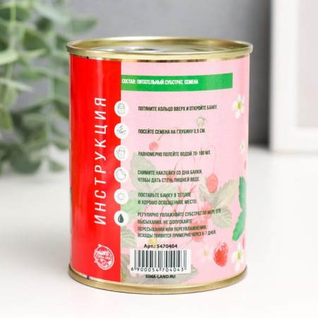Growing gift grass "Strawberries"-2