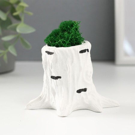 Kashpo concrete "stump birch" 7.5x8.5x7 cm with moss (moss green stabilized)