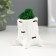 Kashpo concrete "stump birch" 7.5x8.5x7 cm with moss (moss green stabilized)