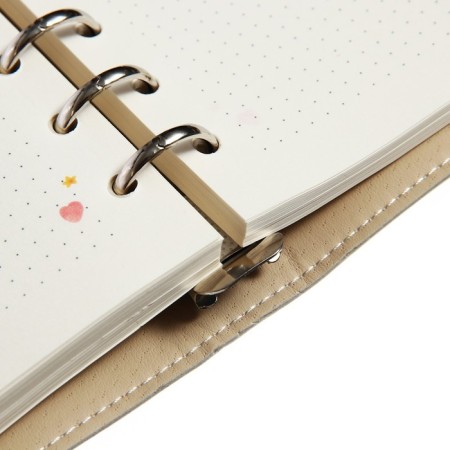 Note book A5, 160 sheets on the Daily Journal rings, Cover artificial leather, an illustration block 80 g/m2, mix-17