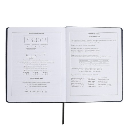 School diary for grades 1-11, "Rage of Katana", hard cover, artificial leather, lies, universal cheat sheets, 48 ​​sheets, block 80g/m2-11