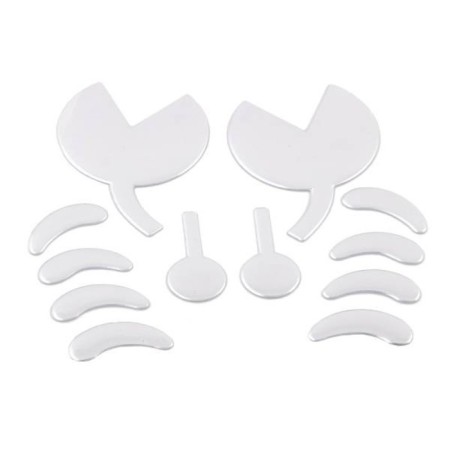 Emblem silver Skyway crab, sticker, 100*80 mm