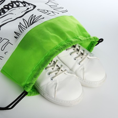 Bag for painting "Dinosaur" 34x40 cm, spanbond-6