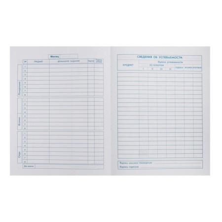 School diary for grades 1-11, "marmalade bear", a solid cover, print on holographic lamination, glossy lamination, an offset block 65g/m2, a universal cheat sheet, 48 sheets-7
