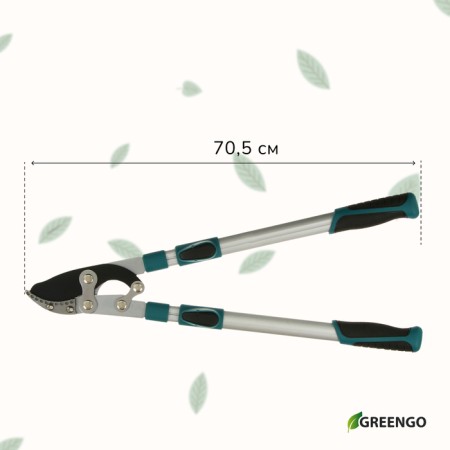 Professional bitch professional, 27.5–40.5 "(70.5−103 cm), telescopic, with plastic handles, mix, Greengo-6
