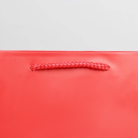Gift laminated package, packaging, "red", ml 21 x 25 x 8 cm-4