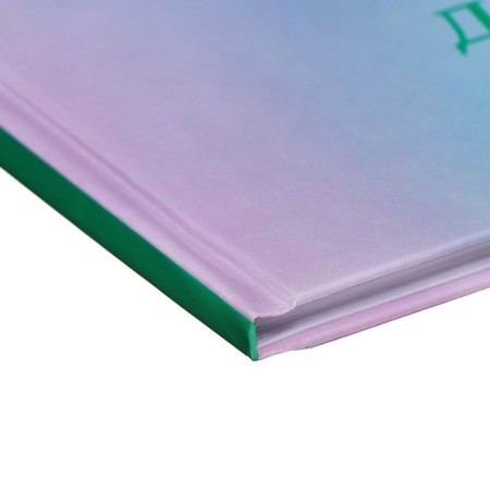 Diary solid cover 1-11 grade 48 sheets, "cat-butterfly1", cardboard cover 7BC, glossy lamination, cheat sheet-2