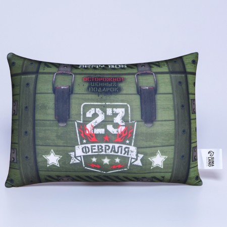 Antistress pillow "23.02", 30 x 20 cm-1