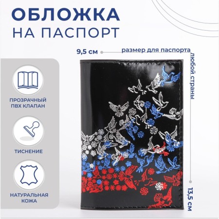 Cover for passport, black color