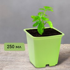 Pot for seedlings, 250 ml, d = 7 cm, h = 8 cm, mix