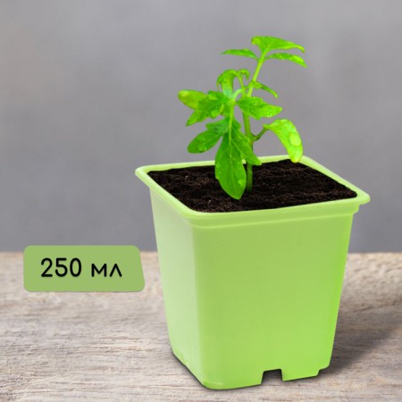 Pot for seedlings, 250 ml, d = 7 cm, h = 8 cm, mix