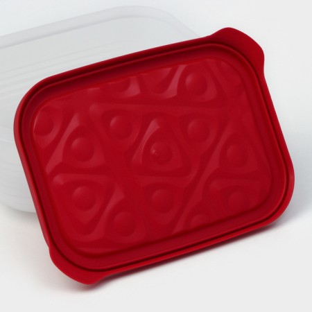 The container is plastic with the lid Flexo, 1.9 l, the color is red-5